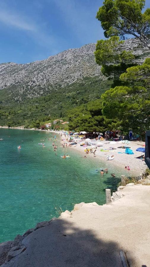 Apartmants Villa Lungo Mare Živogošće Exteriér fotografie